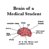 Brain of a medical student, medical studies