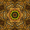 Autumn tree mandala