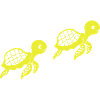 schildkroeten_001