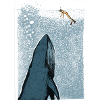 Whale watches