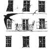 Mauersegler