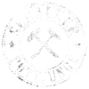 Schalker Pottjunge