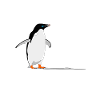 Penguin standing