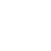 goalie