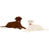 Bloder und brauner Labrador Hund Geschenk