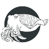 Cuttlefish