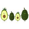 Avocado family