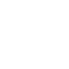 Palm tree