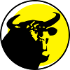 stier