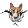 Bullterrier *Metall-Loch*