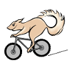 Bicycle and squirrel