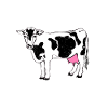 Farmer Cows