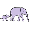 Elefant, Elefanten
