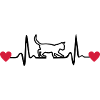 Cat, Kitten and heartline