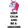be_a_unicorn_02
