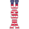 usa_design_1