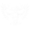 Skull with wings