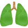 Green lung