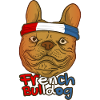 french bulldog