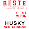 husky pas un loup