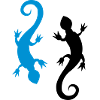 salamander_2