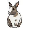 Bunny, rabbit, cute, cartoon