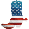 Cowboystiefel