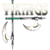 Viking warrior