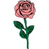 rose_design_002