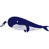 Diver Petting Blue Whale Whale Sperm Whale Diving