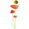 Mohn mit Biene