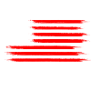 USA flags