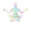 Psychedelic meditation