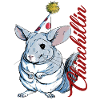 Cute Chinchilla Chinchillin