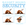 Basset Hound Security
