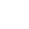 Ăquipe SWAT