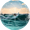 SURFER