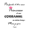 pas facile d'etre princesse