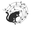 Cat music notes