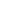 Archeopteryx white