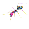 ant