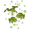 Grenouille