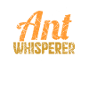 fourmi