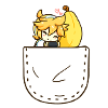 Pocket Len
