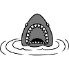 Emerging shark design