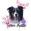 Team Aussie