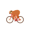 Sloth Cycling Team