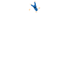 judo