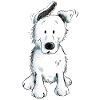 Weißer Schäferhund | Schweizer Schäferhund