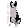 Yakutian Laika